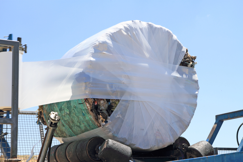 Explore Smart Plant Pot Disposal Methods