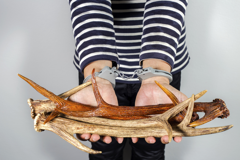 Field Trips and Outdoor Activities to Teach Kids Recycling